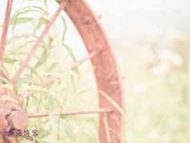 不磕蓝曦臣金光瑶除了以上原因